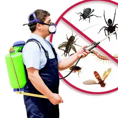 pest control Oak Ridge